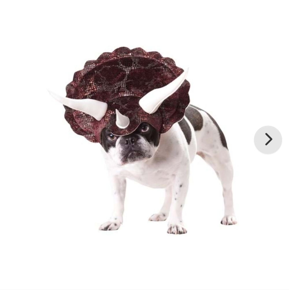 Dog Triceratops Costume